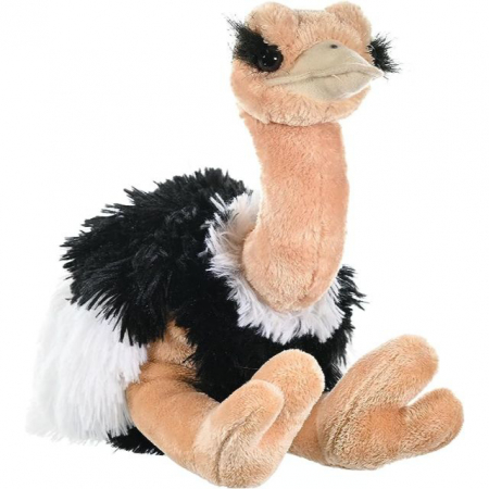 Jucarii educative - Wild Republic Strut - Jucarie Plus Wild Republic 30 cm