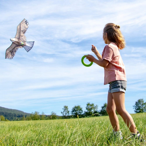 Zmeu vultur Terra Kids, Haba [4]