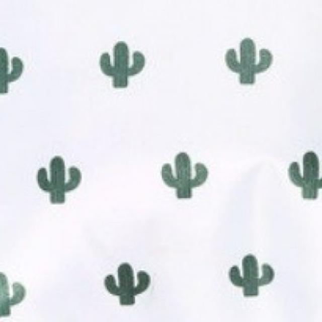 Geanta termoizolanta,Cactus, White [3]