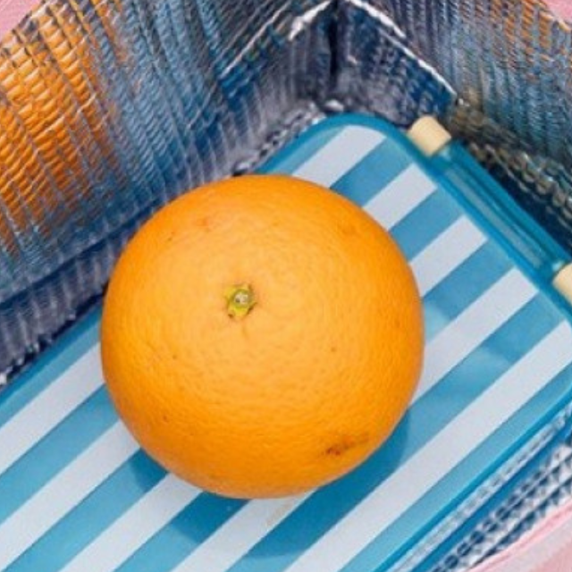 Geanta termoizolanta, Bear, Turquoise [3]