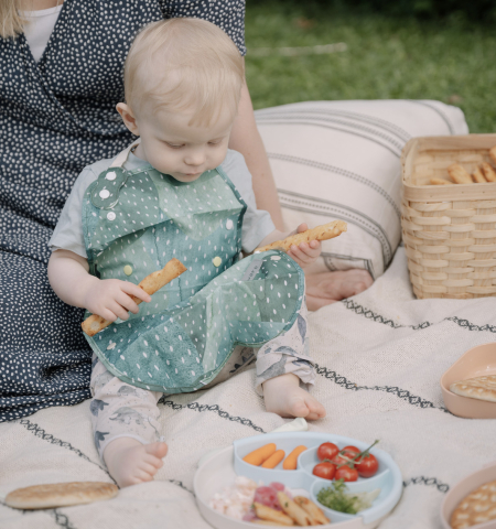 Alimentatie bebe & Accesorii hranire - Bavetă 2 în 1 Catch & Cover Prickly Pear BebePrice.ro