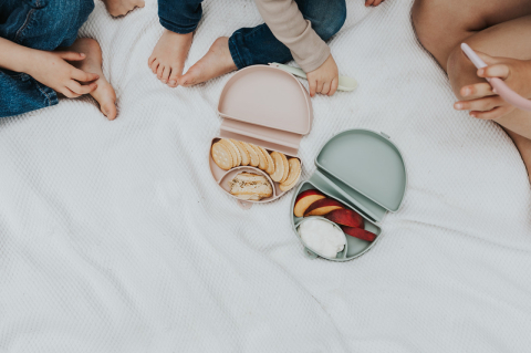 Recipient pentru diversificare Silifold din silicon alimentar Sage BebePrice.ro [6]