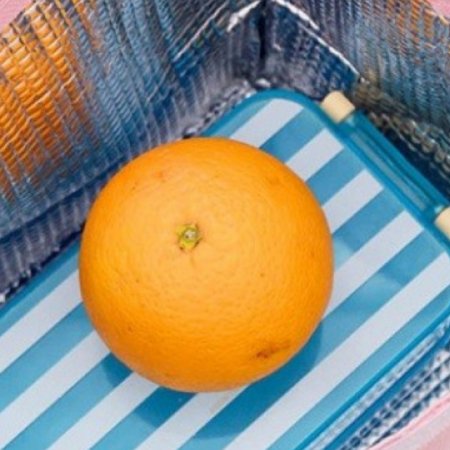 Geanta termoizolanta, Bear, Turquoise [2]