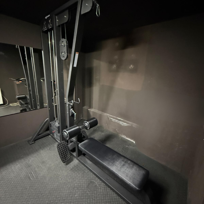 Aparat 2in1 tractiuni/ ramat Sportmann ALA4026 [2]