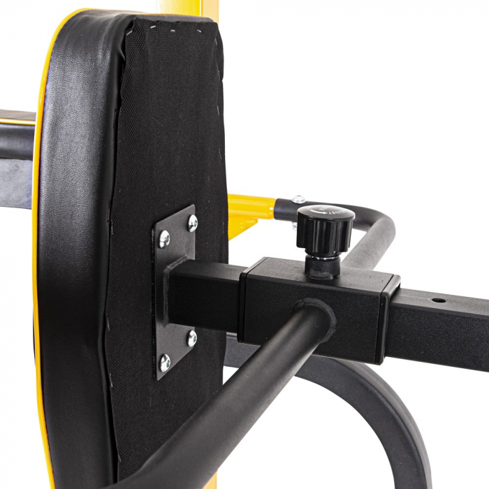 Aparat Multifunctional inSPORTline Power Tower PT250 [18]