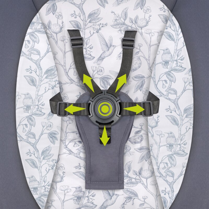 Balansoar si sezlong  Lionelo Ralf 2 in 1 Electric Gri/Alb [20]