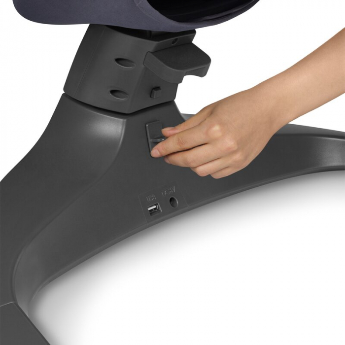 Balansoar si sezlong  Lionelo Ralf 2 in 1 Electric Gri/Alb [13]