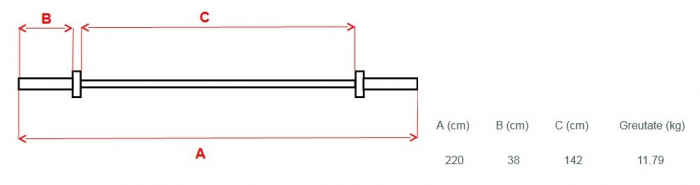 Bara pentru greutati inSPORTline - dreapta 220cm / 30mm RB-84 fara filet [2]