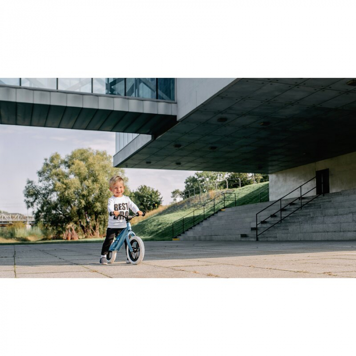 Bicicleta fara pedale Lionelo Bart 12 inch [16]