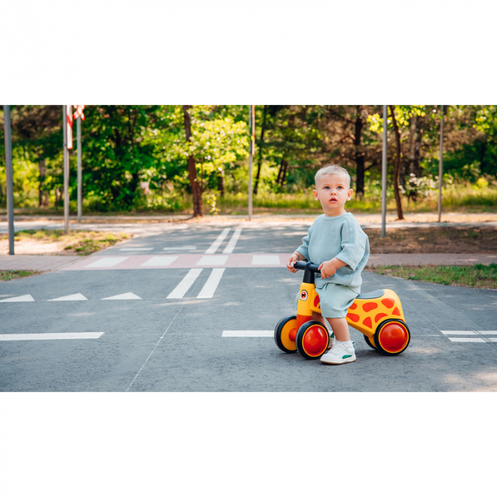 Bicicleta fara pedale Lionelo Sammy 12- 36 luni [24]