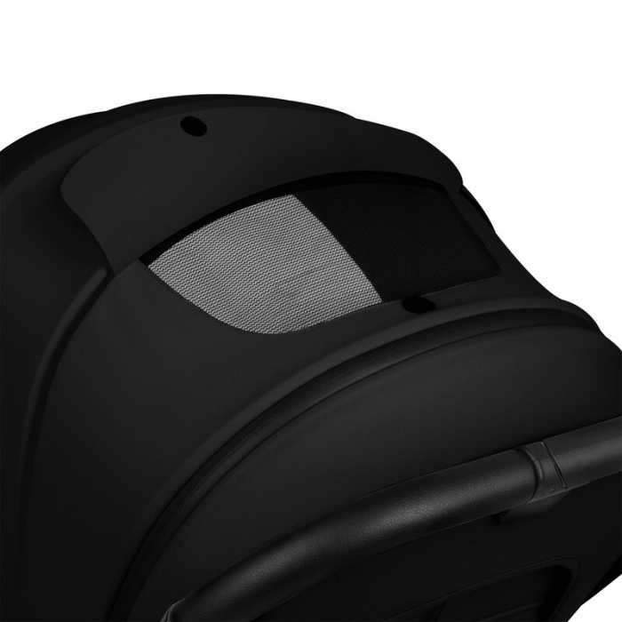 Carucior 2 in 1 Lionelo Mika Plus [19]