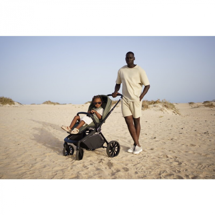 Carucior 2 in 1 Lionelo Mika Plus [58]