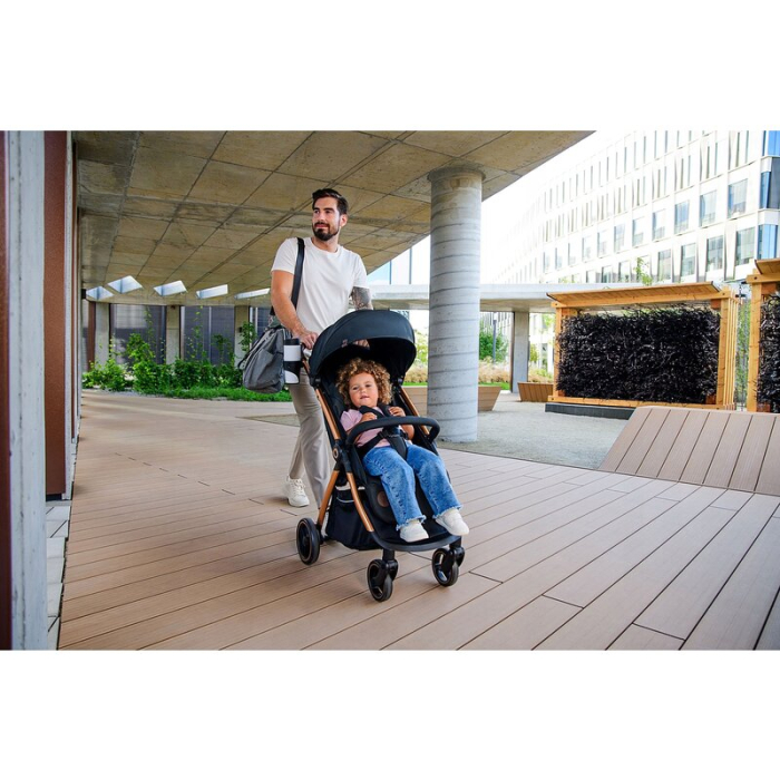 Carucior sport, Lionelo, Ingrid, Capotina impermeabila cu filtru UPF50+, Pana la 22 Kg, Sistem pentru pliere automata, 6 luni+, Roz [23]