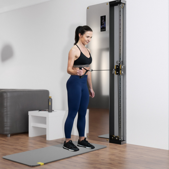 Crossover Simplu Pneumatic HMS BSP301 pentru Perete + Stiva Greutati [3]