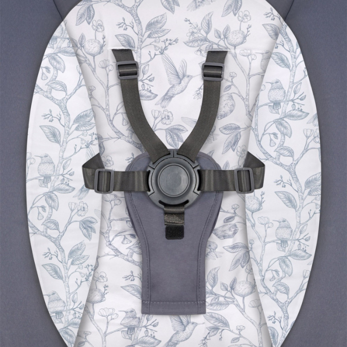 Lionelo - Balansoar si sezlong copii Ralf 2 in 1 Electric cu telecomanda si cablu USB Gri Grafit [13]