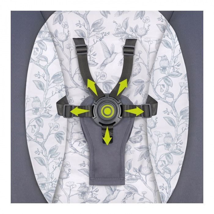 Lionelo - Balansoar si sezlong copii Ralf 2 in 1 Electric cu telecomanda si cablu USB Gri Grafit [15]