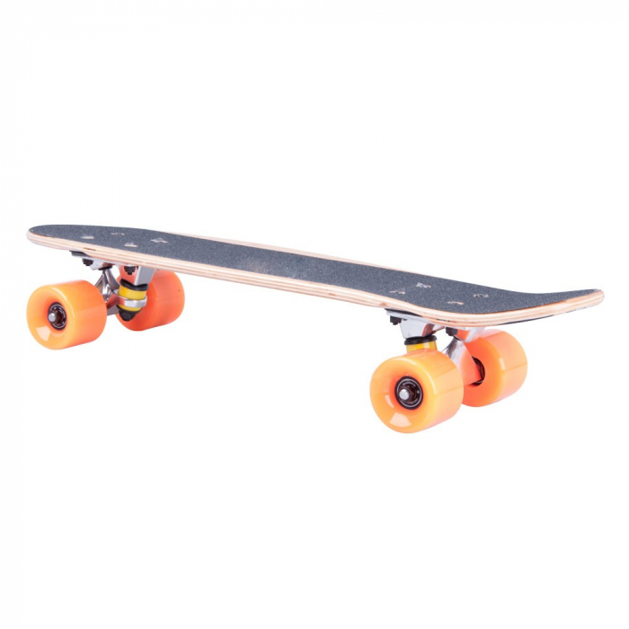 Penny board WORKER Bambo 22'' model 2016 [4]