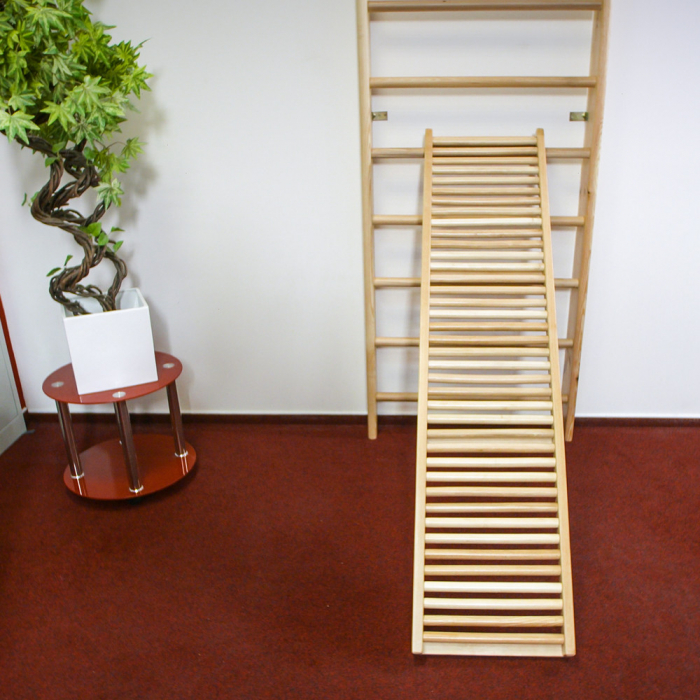 Scara gimnastica inSPORTline Dremar 225 x 90 cm 2014 [7]