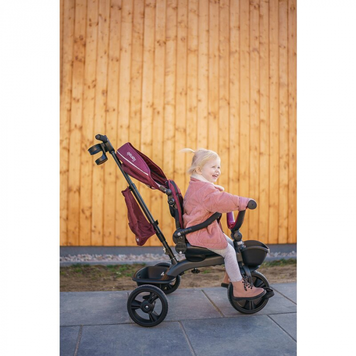 Tricicleta multifunctionala cu sezut reversibil, Kori - Lionelo [38]