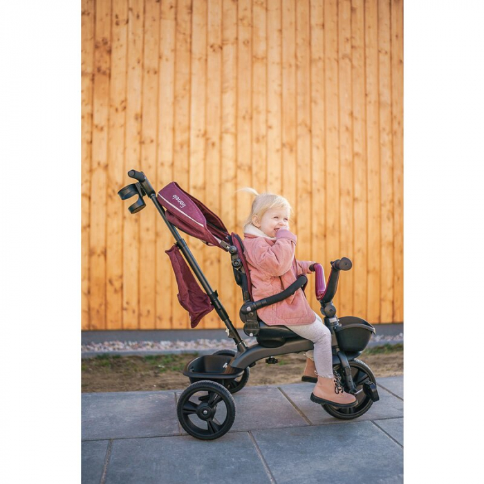 Tricicleta multifunctionala cu sezut reversibil, Kori - Lionelo [39]