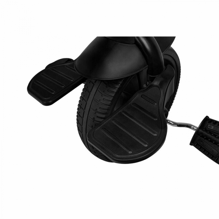 Tricicleta multifunctionala cu sezut reversibil, Kori - Lionelo [23]