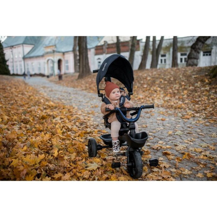 Tricicleta multifunctionala cu sezut reversibil, Kori - Lionelo [40]