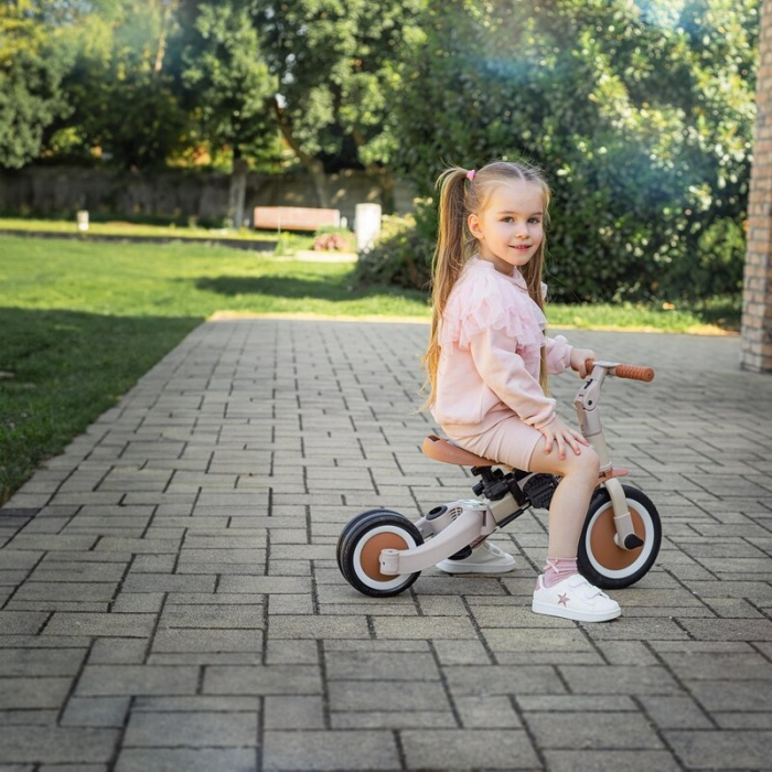 Tricicleta, Petite&Mars, Turbo, Editie limitata, 5 in 1, Multifunctionala, Vehicul de impins, Bicicleta cu/fara pedale, Cu maner de ghidaj, Detasabil, Roti din cauciuc, Pana la 25 kg, 1.5-5 ani, Dino [39]