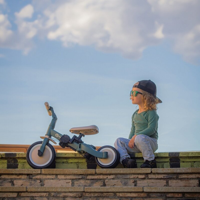 Tricicleta, Petite&Mars, Turbo, Editie limitata, 5 in 1, Multifunctionala, Vehicul de impins, Bicicleta cu/fara pedale, Cu maner de ghidaj, Detasabil, Roti din cauciuc, Pana la 25 kg, 1.5-5 ani, Dino [23]