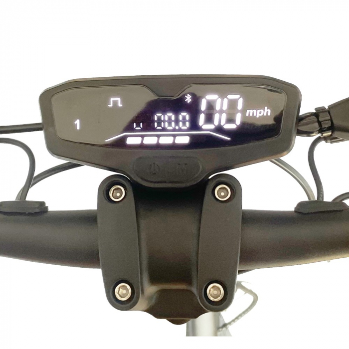 Trotineta Electrica W-TEC Lambreto Max II 10” [14]