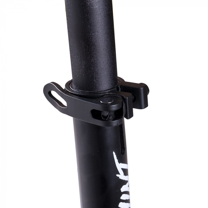 Trotineta inSPORTline Wayomint [5]