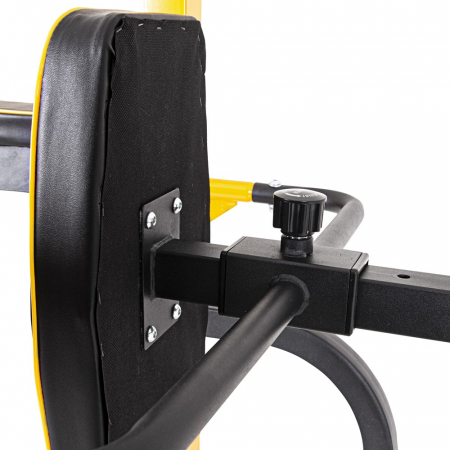 Aparat Multifunctional inSPORTline Power Tower PT250 [17]