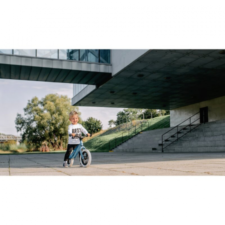 Bicicleta fara pedale Lionelo Bart 12 inch [15]