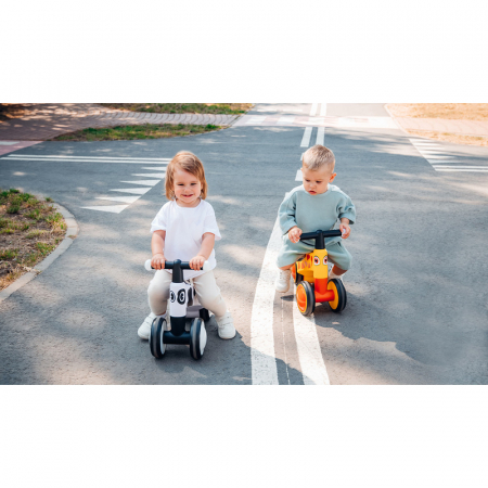 Bicicleta fara pedale Lionelo Sammy 12- 36 luni [27]