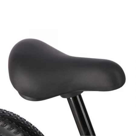 Bicicleta Fara Pedale Nils Fun RB100, Albastru [6]