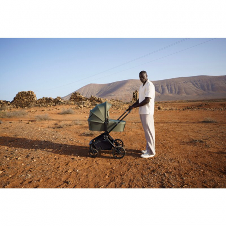 Carucior 2 in 1 Lionelo Mika Plus [43]