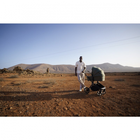 Carucior 2 in 1 Lionelo Mika Plus [54]