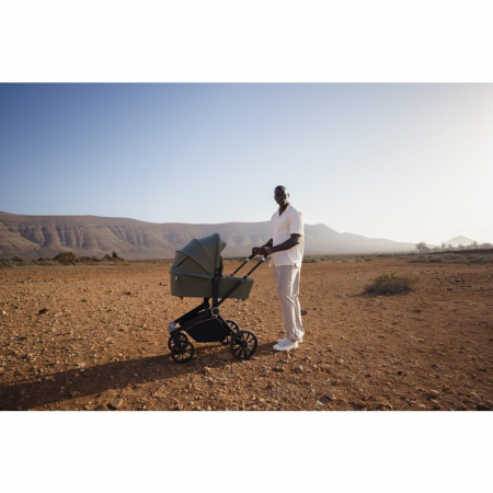 Carucior 2 in 1 Lionelo Mika Plus [46]