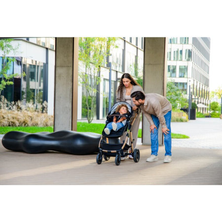 Carucior compact Amber 3 in 1 - Lionelo [71]