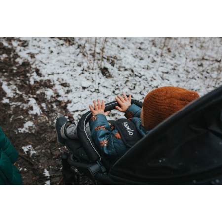 Carucior sport, Annet Plus Lionelo [48]