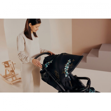 Carucior sport Lionelo Annet Tour Golden Moments Editie Limitata Negru [31]