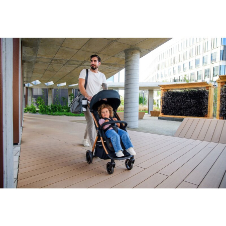 Carucior sport, Lionelo, Ingrid, Capotina impermeabila cu filtru UPF50+, Pana la 22 Kg, Sistem pentru pliere automata, 6 luni+, Roz [22]