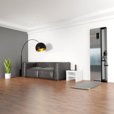 Crossover Simplu Pneumatic HMS BSP301 pentru Perete + Stiva Greutati [3]