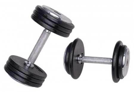 Bare - Discuri - Greutati - Gantera profi inSPORTline 45 kg