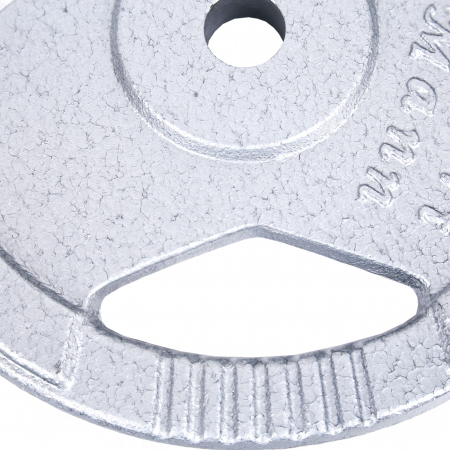 Greutate pentru bara 15 kg/31mm Sportmann [2]