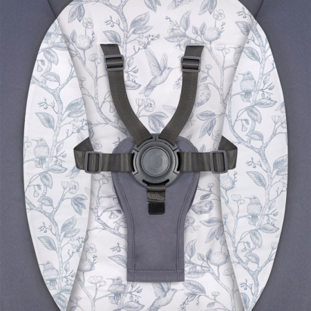 Lionelo - Balansoar si sezlong copii Ralf 2 in 1 Electric cu telecomanda si cablu USB Gri Grafit [12]