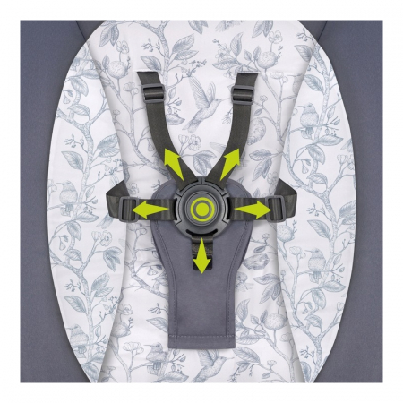 Lionelo - Balansoar si sezlong copii Ralf 2 in 1 Electric cu telecomanda si cablu USB Gri Grafit [14]