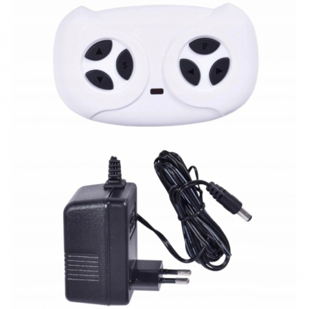 Masinuta electrica cu telecomanda Mercedes AMG GTR-S R-Sport [4]