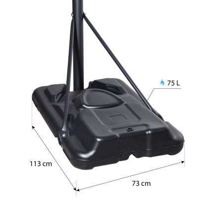 Panou Baschet Portabil cu Cos NILS ZDKA21 [6]