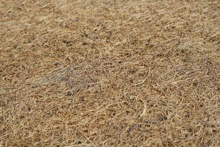 Saltea de cocos integral cu husa alba 120x60x6 cm [2]