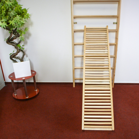 Scara gimnastica inSPORTline Dremar 225 x 90 cm 2014 [6]